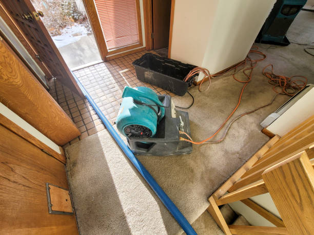 Best Mold removal after water damage  in Arlington, NY