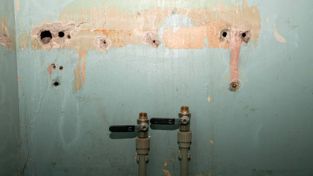 Best Professional water damage repair  in Arlington, NY