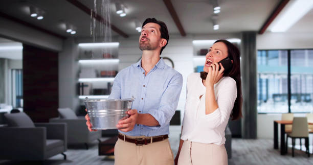 Best Water damage restoration near me  in Arlington, NY